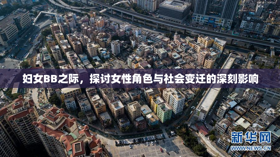 妇女BB之际，探讨女性角色与社会变迁的深刻影响