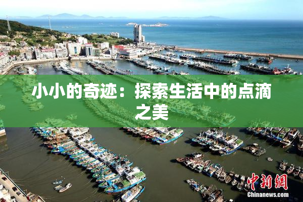小小的奇迹：探索生活中的点滴之美