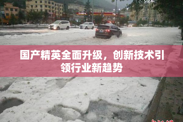国产精英全面升级，创新技术引领行业新趋势