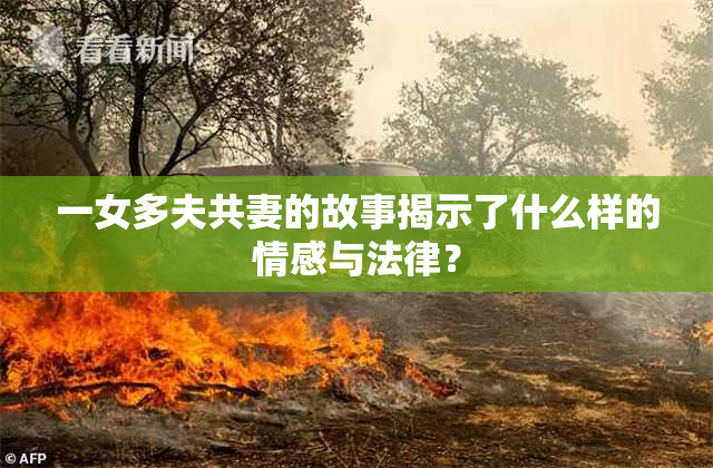 一女多夫共妻的故事揭示了什么样的情感与法律？
