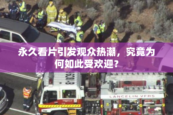 永久看片引发观众热潮，究竟为何如此受欢迎？