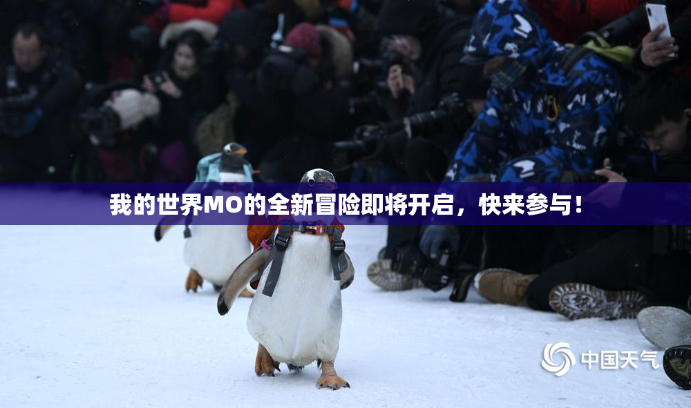 我的世界MO的全新冒险即将开启，快来参与！