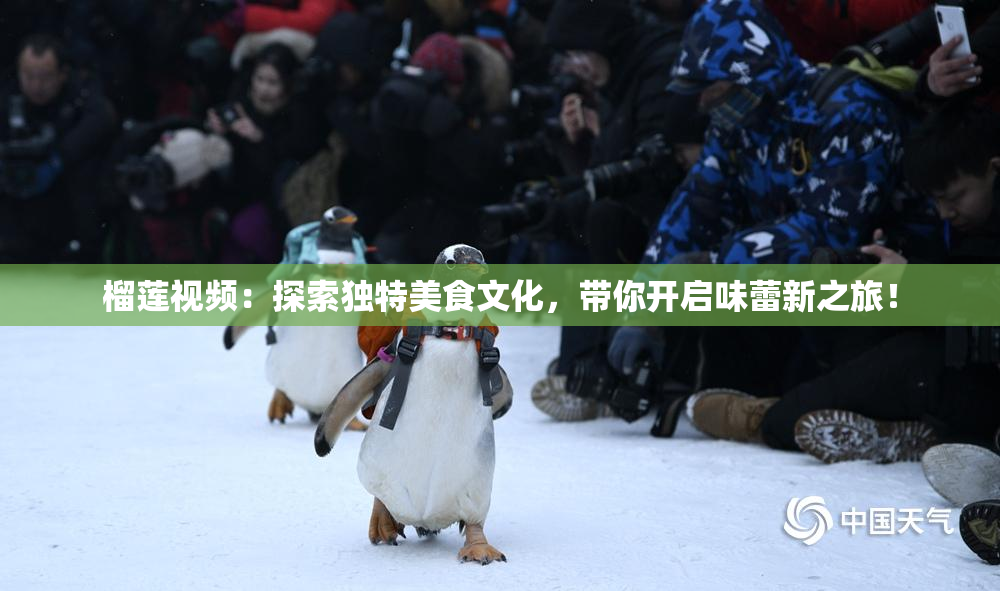 榴莲视频：探索独特美食文化，带你开启味蕾新之旅！