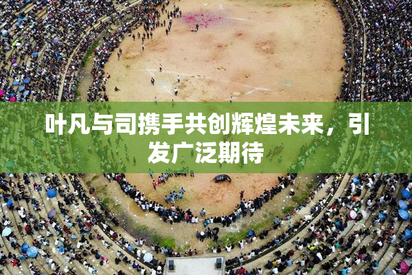 叶凡与司携手共创辉煌未来，引发广泛期待