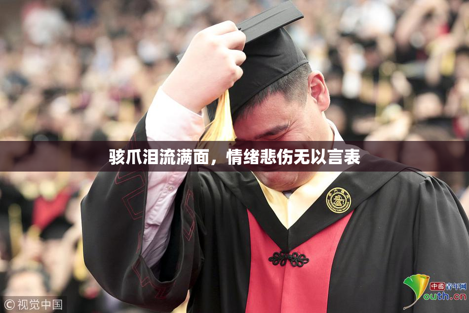 骇爪泪流满面，情绪悲伤无以言表