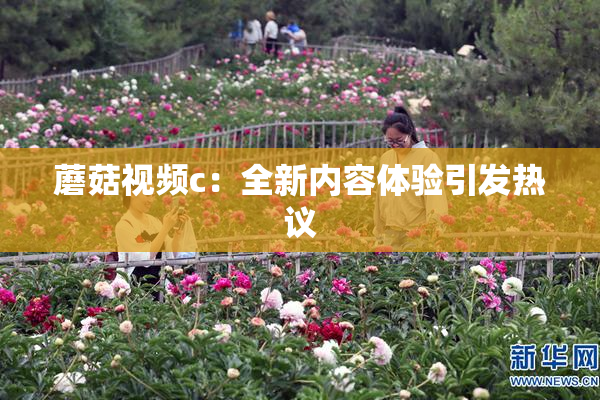 蘑菇视频c：全新内容体验引发热议
