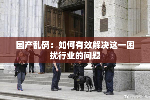 国产乱码：如何有效解决这一困扰行业的问题