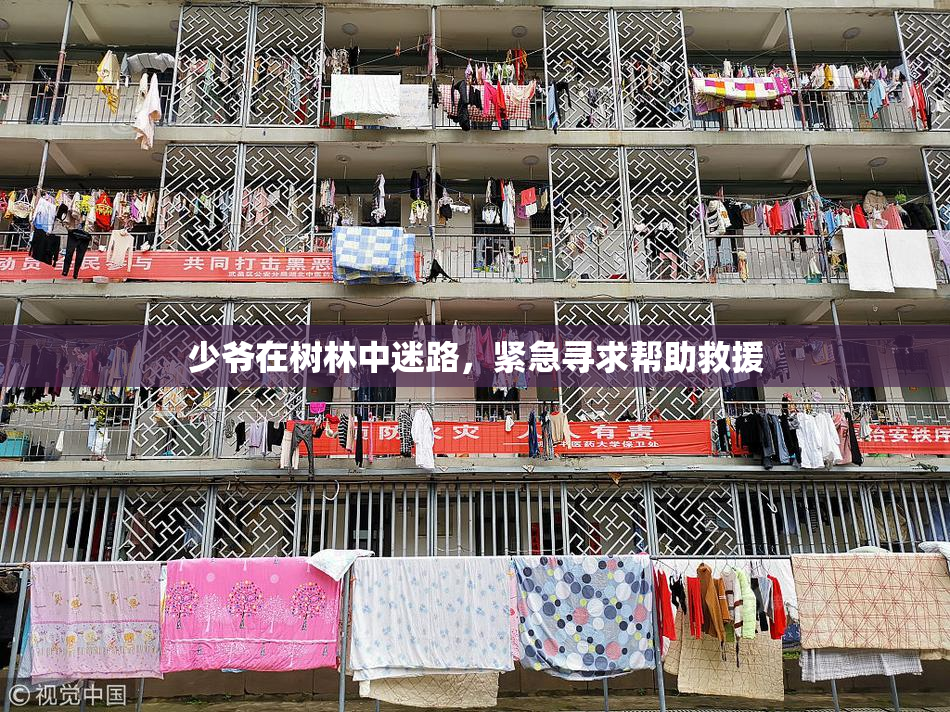 少爷在树林中迷路，紧急寻求帮助救援