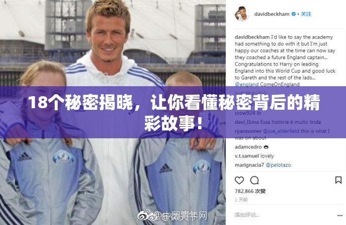 18个秘密揭晓，让你看懂秘密背后的精彩故事！
