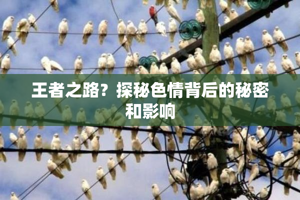 王者之路？探秘色情背后的秘密和影响