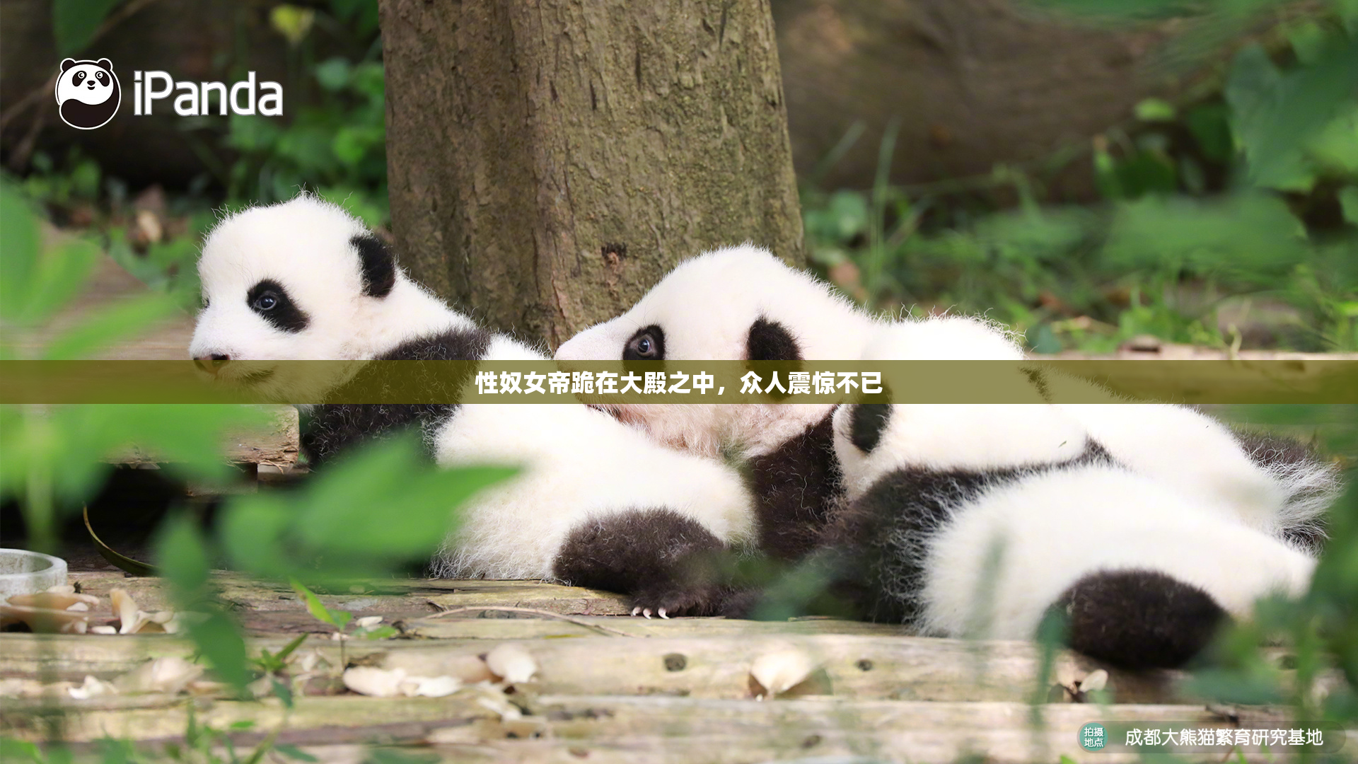 性奴女帝跪在大殿之中，众人震惊不已