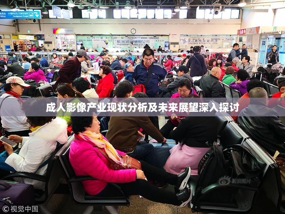 成人影像产业现状分析及未来展望深入探讨