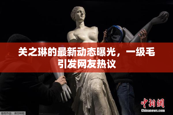 关之琳的最新动态曝光，一级毛引发网友热议