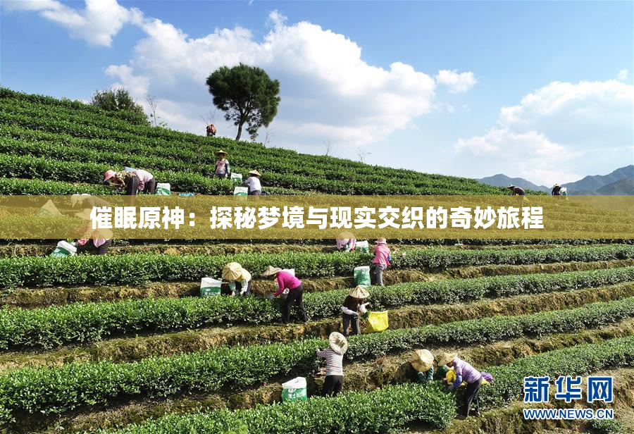 催眠原神：探秘梦境与现实交织的奇妙旅程