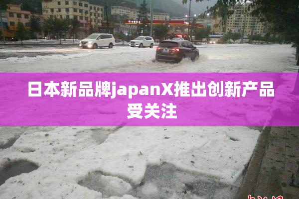 日本新品牌japanX推出创新产品 受关注