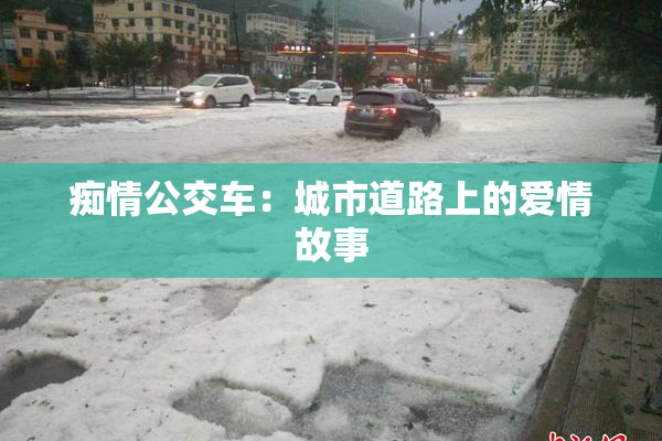 痴情公交车：城市道路上的爱情故事