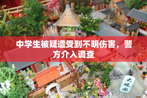 中学生被疑遭受到不明伤害，警方介入调查