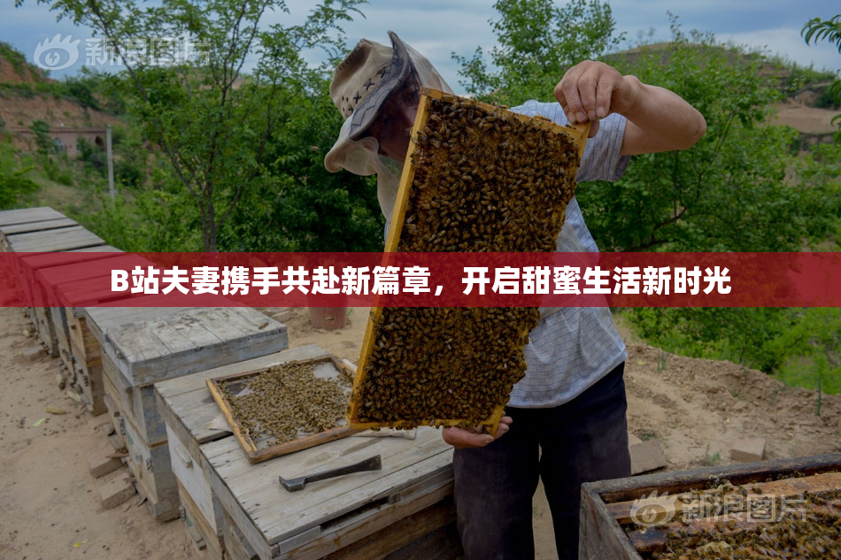 B站夫妻携手共赴新篇章，开启甜蜜生活新时光