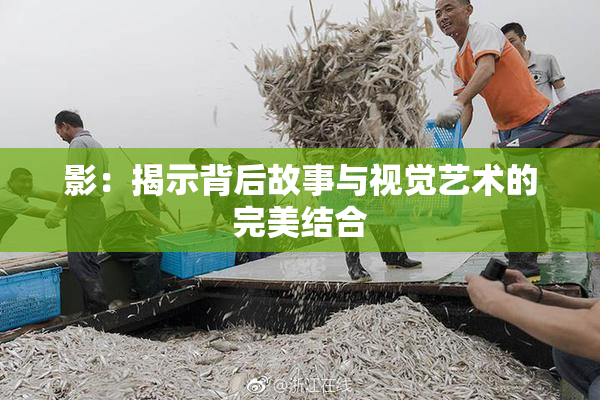 影：揭示背后故事与视觉艺术的完美结合