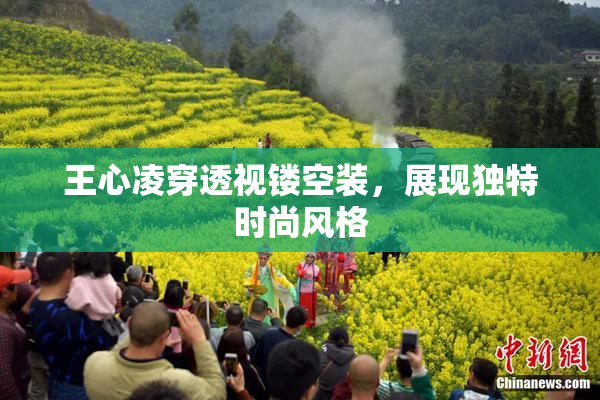 王心凌穿透视镂空装，展现独特时尚风格