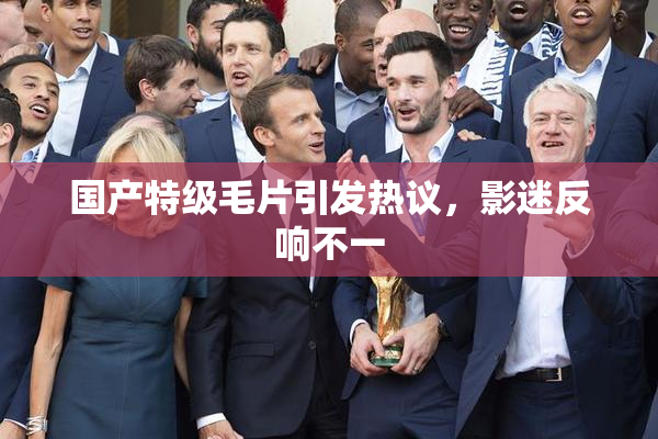 国产特级毛片引发热议，影迷反响不一