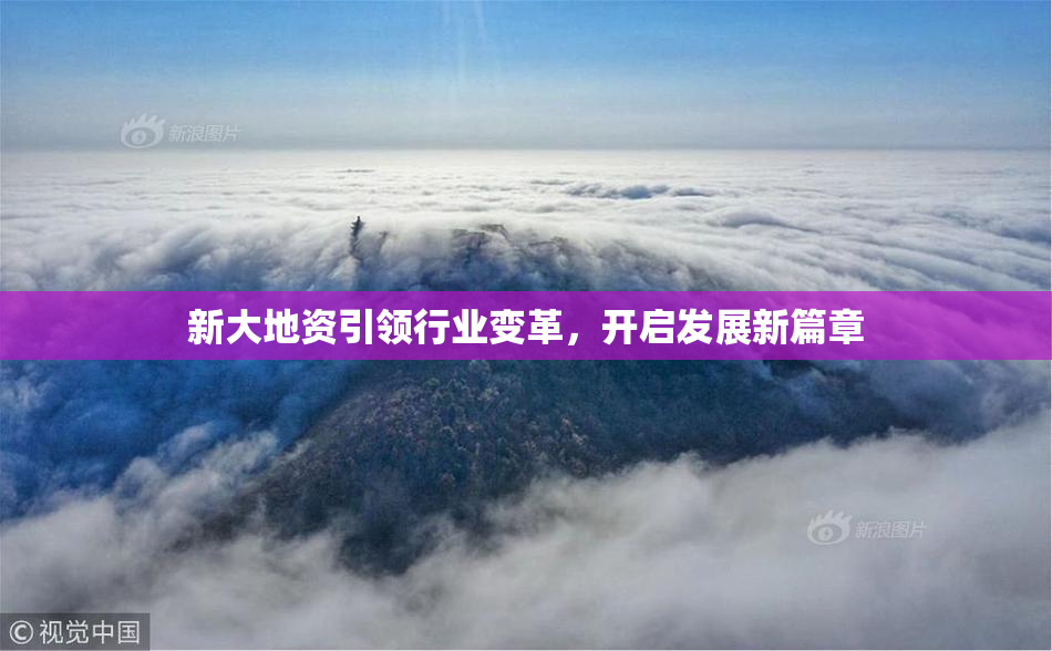 新大地资引领行业变革，开启发展新篇章