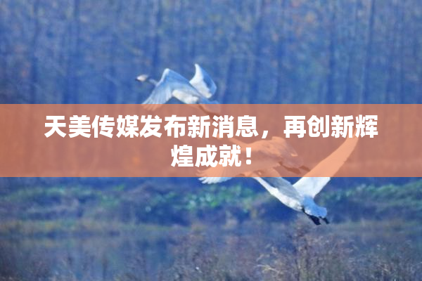 天美传媒发布新消息，再创新辉煌成就！