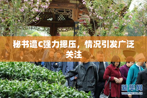 秘书遭C强力摁压，情况引发广泛关注