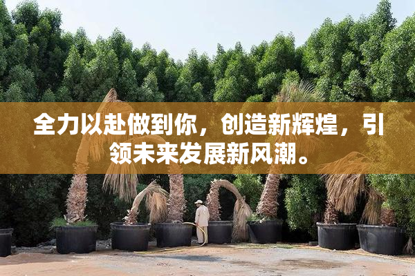 全力以赴做到你，创造新辉煌，引领未来发展新风潮。