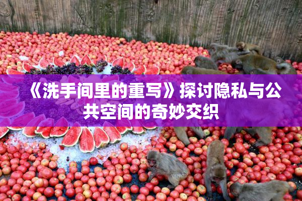 《洗手间里的重写》探讨隐私与公共空间的奇妙交织
