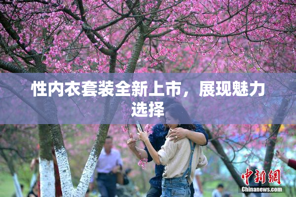 性内衣套装全新上市，展现魅力选择