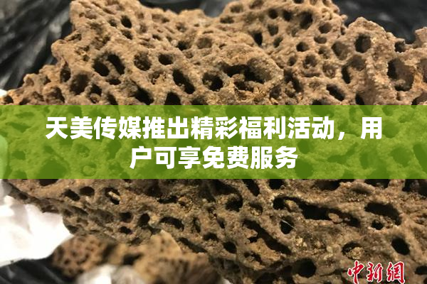 天美传媒推出精彩福利活动，用户可享免费服务