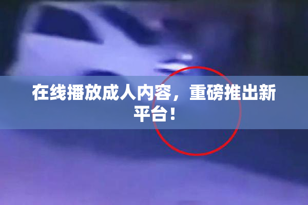 在线播放成人内容，重磅推出新平台！