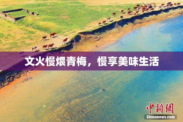 文火慢煨青梅，慢享美味生活