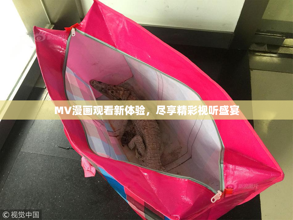 MV漫画观看新体验，尽享精彩视听盛宴