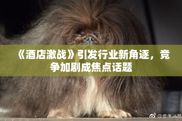 《酒店激战》引发行业新角逐，竞争加剧成焦点话题