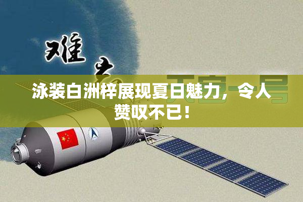 泳装白洲梓展现夏日魅力，令人赞叹不已！