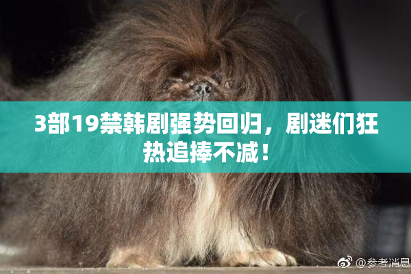 3部19禁韩剧强势回归，剧迷们狂热追捧不减！