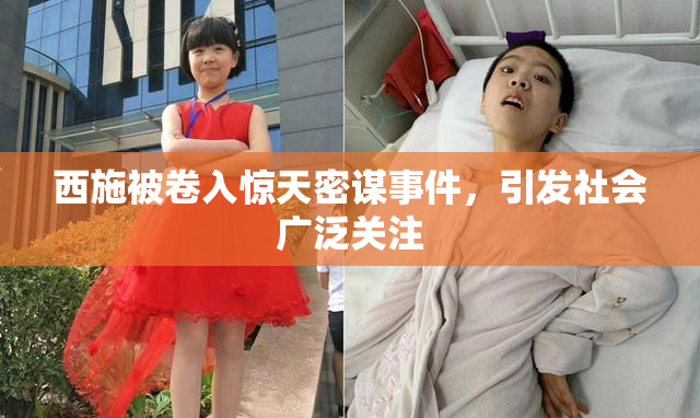 西施被卷入惊天密谋事件，引发社会广泛关注