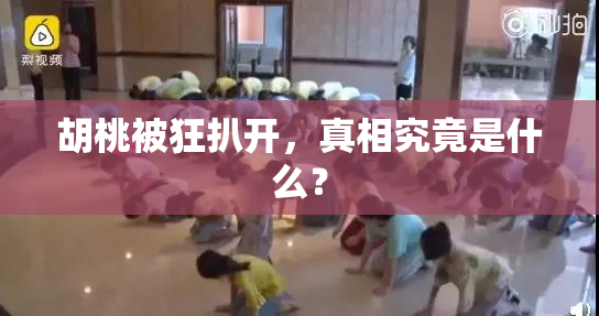 胡桃被狂扒开，真相究竟是什么？