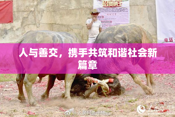 人与善交，携手共筑和谐社会新篇章