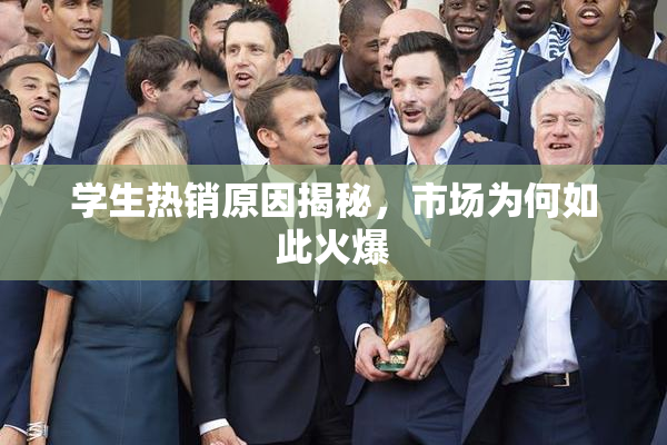 学生热销原因揭秘，市场为何如此火爆