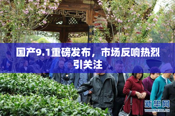 国产9.1重磅发布，市场反响热烈引关注