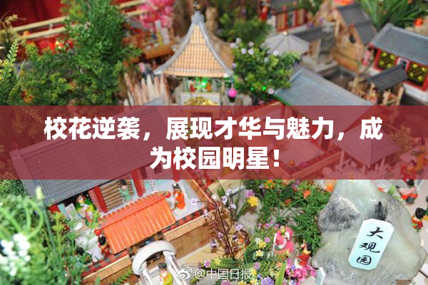 校花逆袭，展现才华与魅力，成为校园明星！