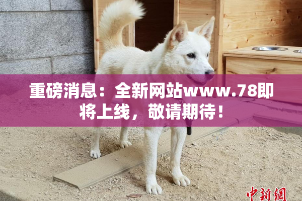 重磅消息：全新网站www.78即将上线，敬请期待！