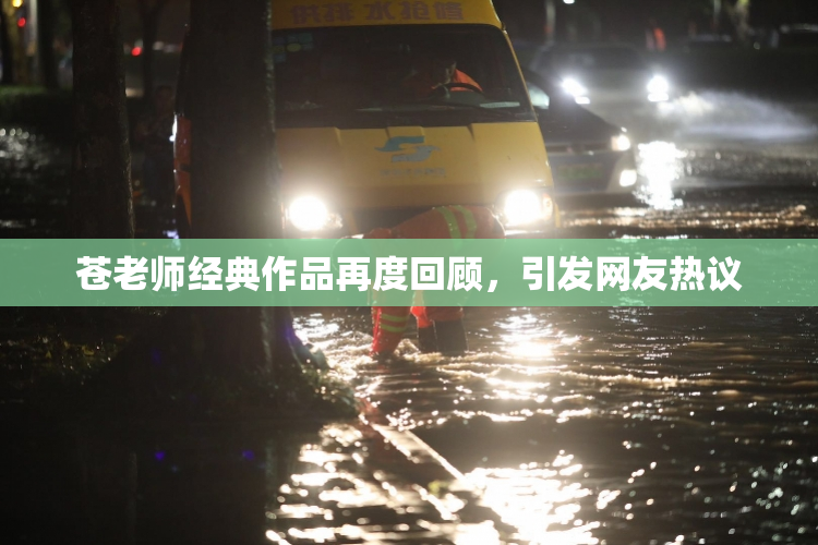 苍老师经典作品再度回顾，引发网友热议