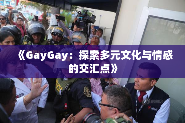 《GayGay：探索多元文化与情感的交汇点》