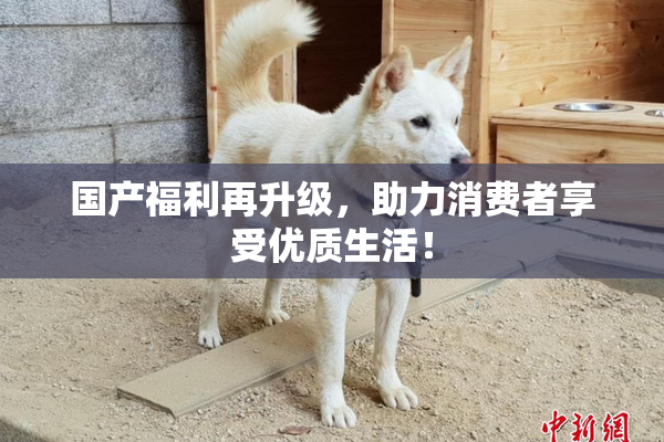 国产福利再升级，助力消费者享受优质生活！