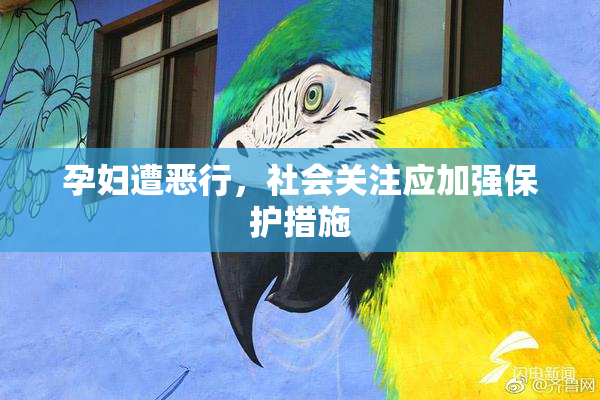 孕妇遭恶行，社会关注应加强保护措施