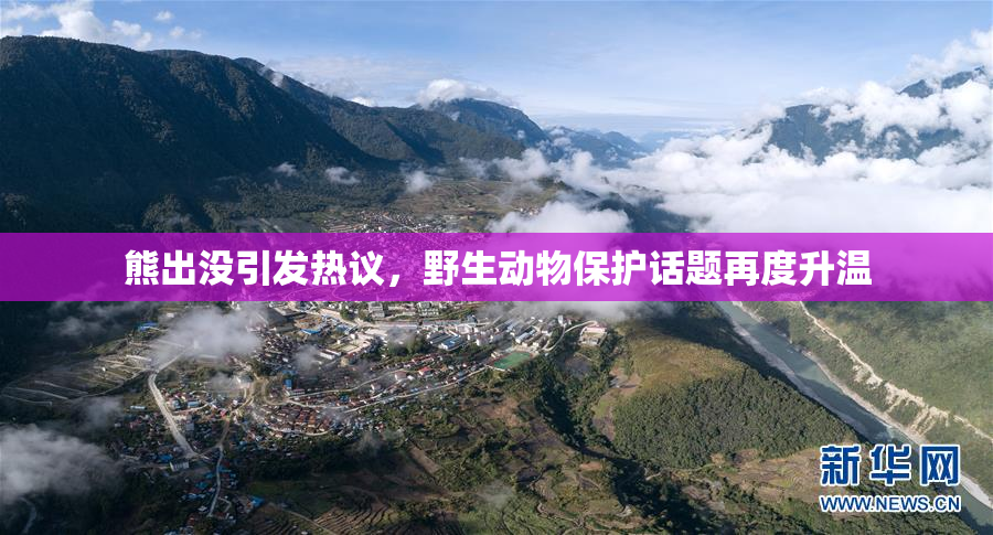 熊出没引发热议，野生动物保护话题再度升温